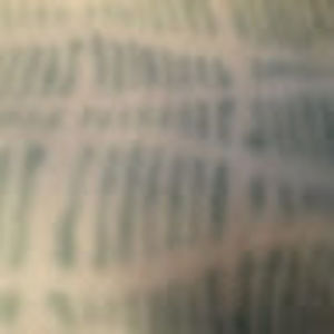 Meet your Posher, Sabrina